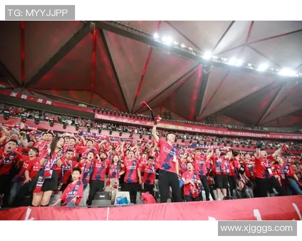 团结拼搏共筑梦想足球中国奋勇向前的口号与精神