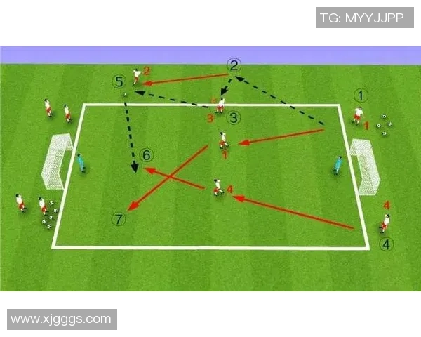南京足球队战术解析与未来发展方向的深度探讨